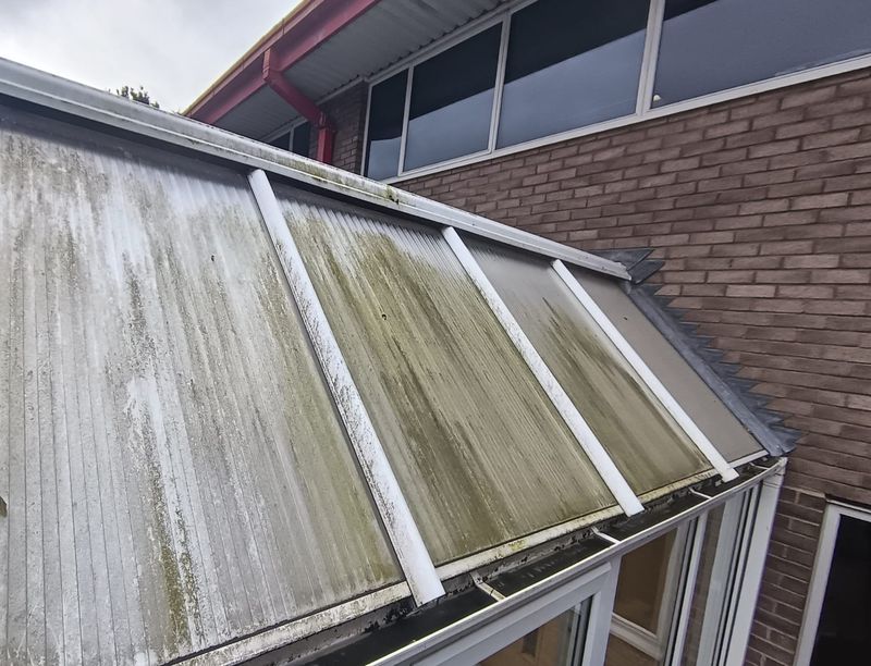 A conservatory roof before cleaning, with green algae streaks running down the panels